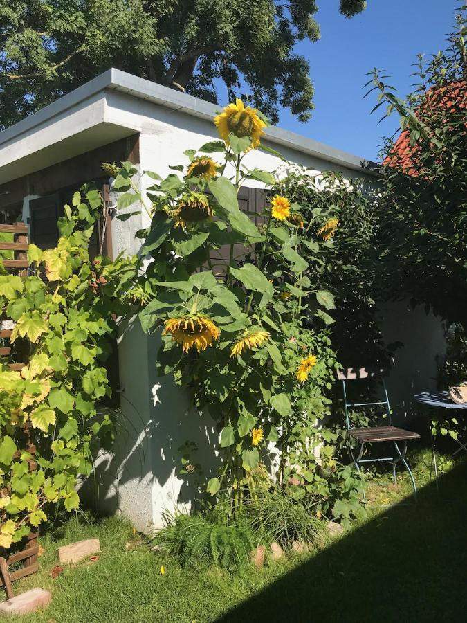 Ferienwohnung Haus Vicus Greifswald Exterior foto